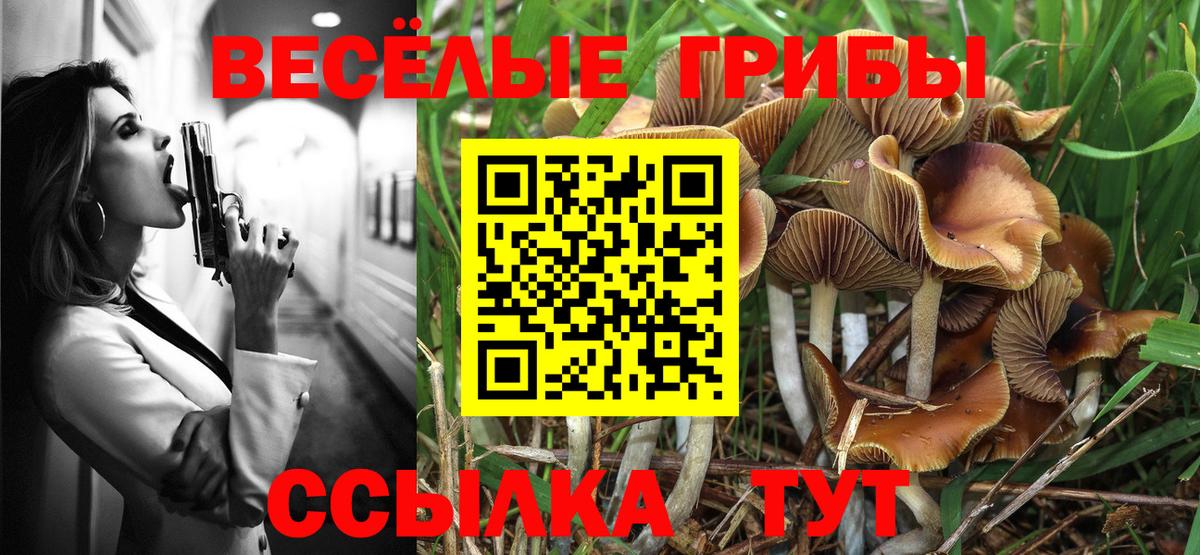 Галлюциногенные грибы MAGIC MUSHROOMS Сарапул
